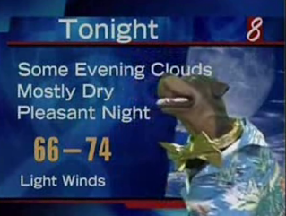 The Insult Comic Dog Does The Weather